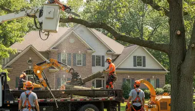 Tree service crew trimming trees in Indianapolis, IN for safe, professional property maintenance