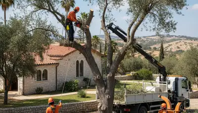 Tree service crew trimming a tree in Indianapolis, IN for safe, professional property maintenance