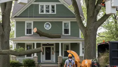 Tree service crew in Indianapolis, IN performing professional tree trimming and pruning