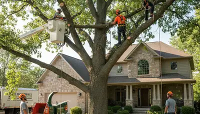 Tree service team in Indianapolis, IN providing professional tree trimming and maintenance
